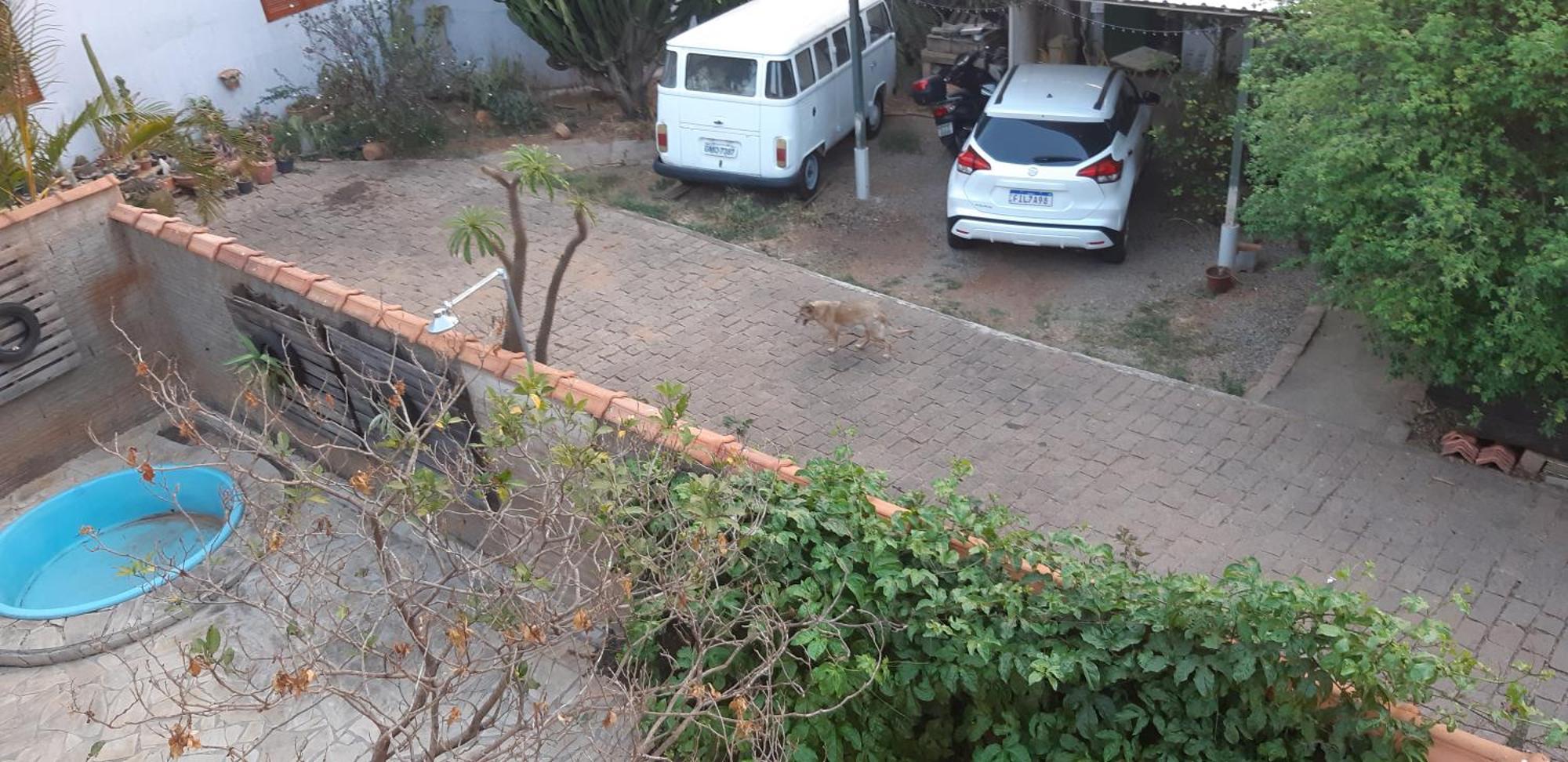 Apartamento Chácara Famille Brun São João da Boa Vista Exterior foto